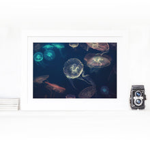 Load image into Gallery viewer, Moon Jellyfish - limited edition Fine Art