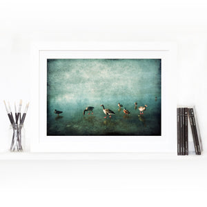Ducks on Blue Ice- Limited Edition Fine Art