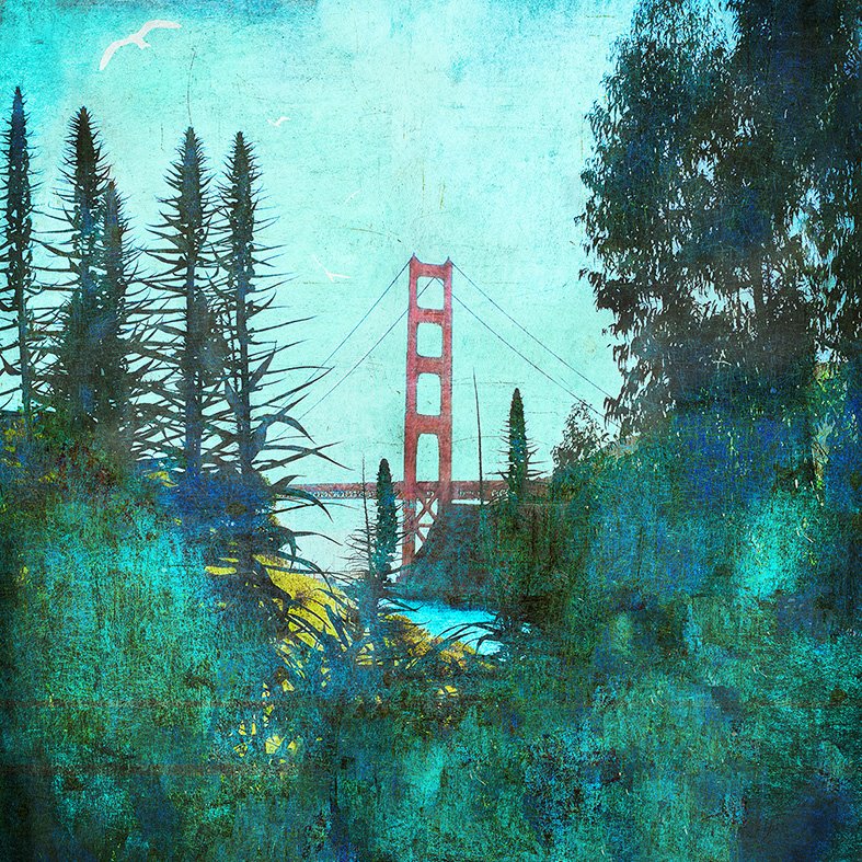 From Marin - Fine art limited edition artwork