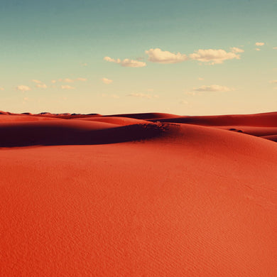 Desert dreams - Limited Edition Fine Art