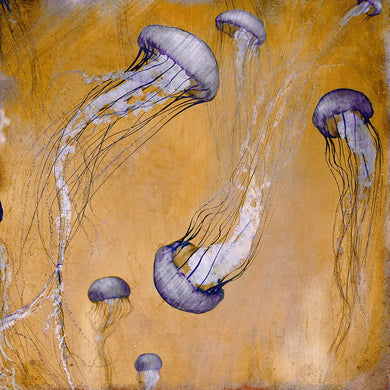 Monterey Purple - Limited edition fine art