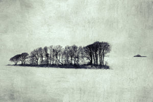 Colder - Limited edition fine art print