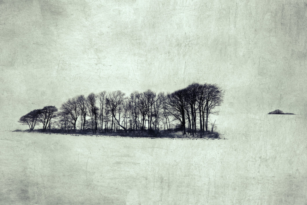 Colder - Limited edition fine art print