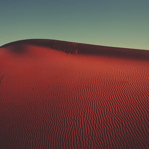 Sahara Song -  Fine art
