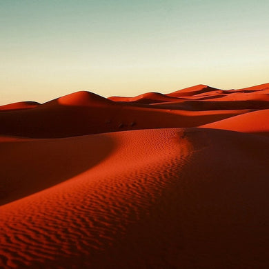 Desert Love - Limited Edition Fine Art