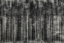 Load image into Gallery viewer, Into the woods - fine art limited edition artwork