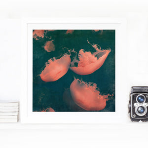 Monterey Green - Limited edition fine art