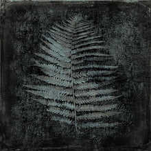 Load image into Gallery viewer, Fern Charcoal - Open edition fine art