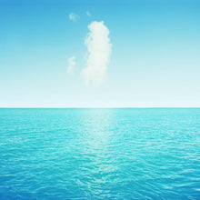 Load image into Gallery viewer, Key Biscayne - Limited Edition Fine Art