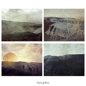 Opus 35 - Limited Edition Fine Art
