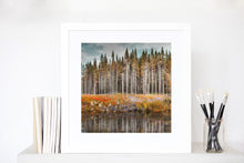 Load image into Gallery viewer, Norwegian wood to the cabin - Fine art print limited edition art