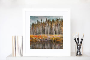 Norwegian wood to the cabin - Fine art print limited edition art