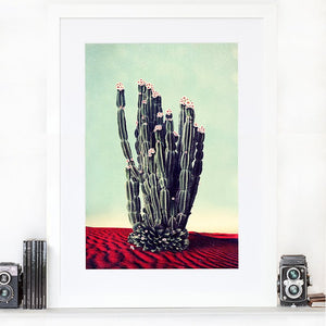 Desert Flowers - Limited Edition Fine Art