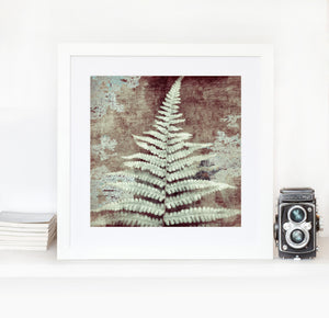 Ancient Fern closer to cold - Limited edition fine art