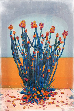 Cactus Wall - Limited Edition Fine Art