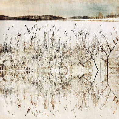 Snowfields - Limited Edition Fine Art print