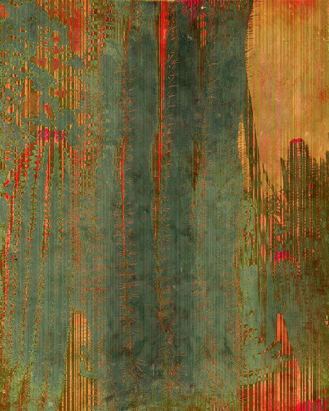 Cactus blooms bright - Limited Edition Fine Art