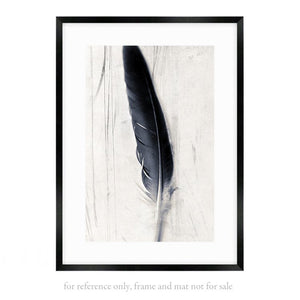 Feather plate It is Written - Limited edition fine art