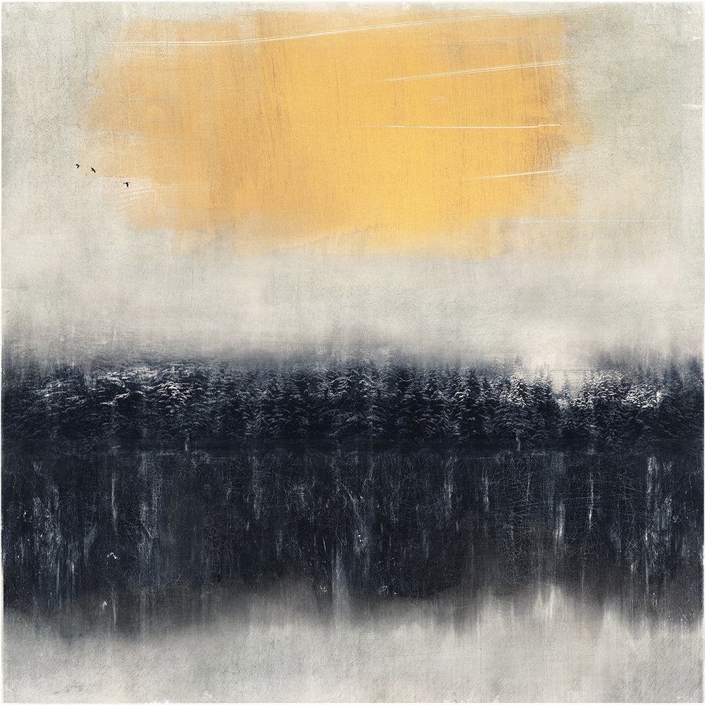 Pine lake- Limited Edition Fine Art