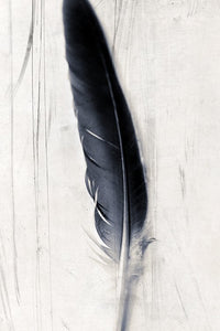 Feather plate It is Written - Limited edition fine art