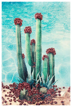 Load image into Gallery viewer, Cactus Pool - Limited Edition Fine Art