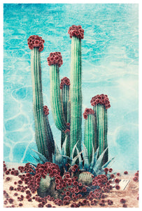 Cactus Pool - Limited Edition Fine Art