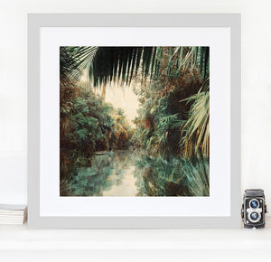Backwaters Jungle - Limited Edition Fine Art print