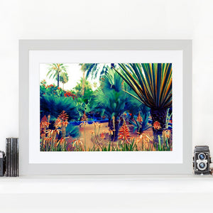 Majorelle Wild - Limited Edition Fine Art