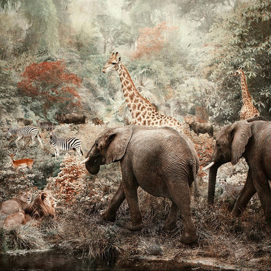 The Water Hole - Limited edition fine art
