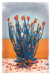 Cactus Wall - Limited Edition Fine Art