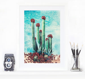 Cactus Pool - Limited Edition Fine Art