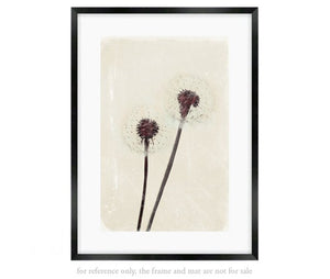 Dandelion Heart - limited edition fine art