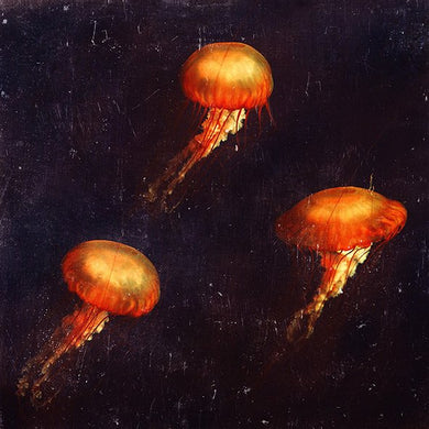 Underwater Music - LIMITED EDITION FINE ART