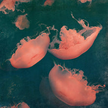 Load image into Gallery viewer, Monterey Green - Limited edition fine art