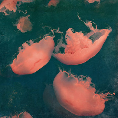 Monterey Green - Limited edition fine art