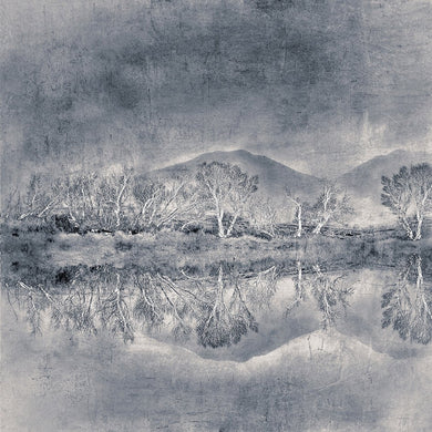 Still - Limited edition fine art