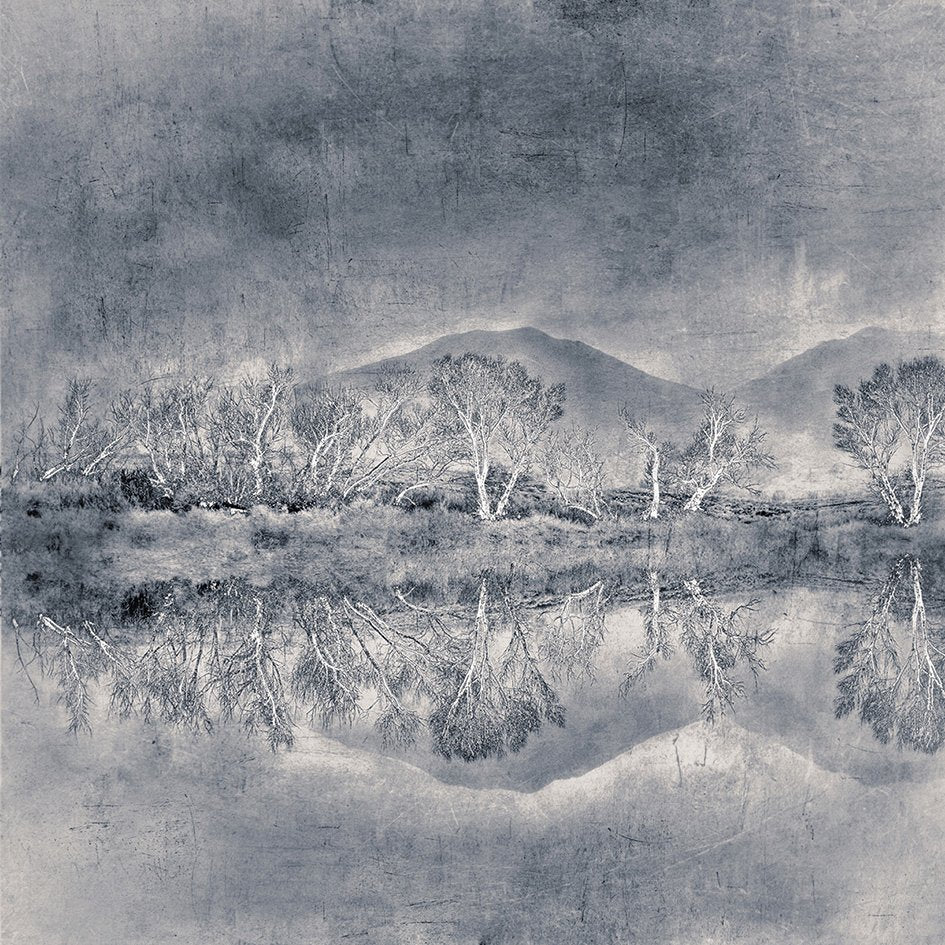 Still - Limited edition fine art