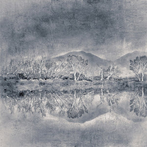 Still - Limited edition fine art