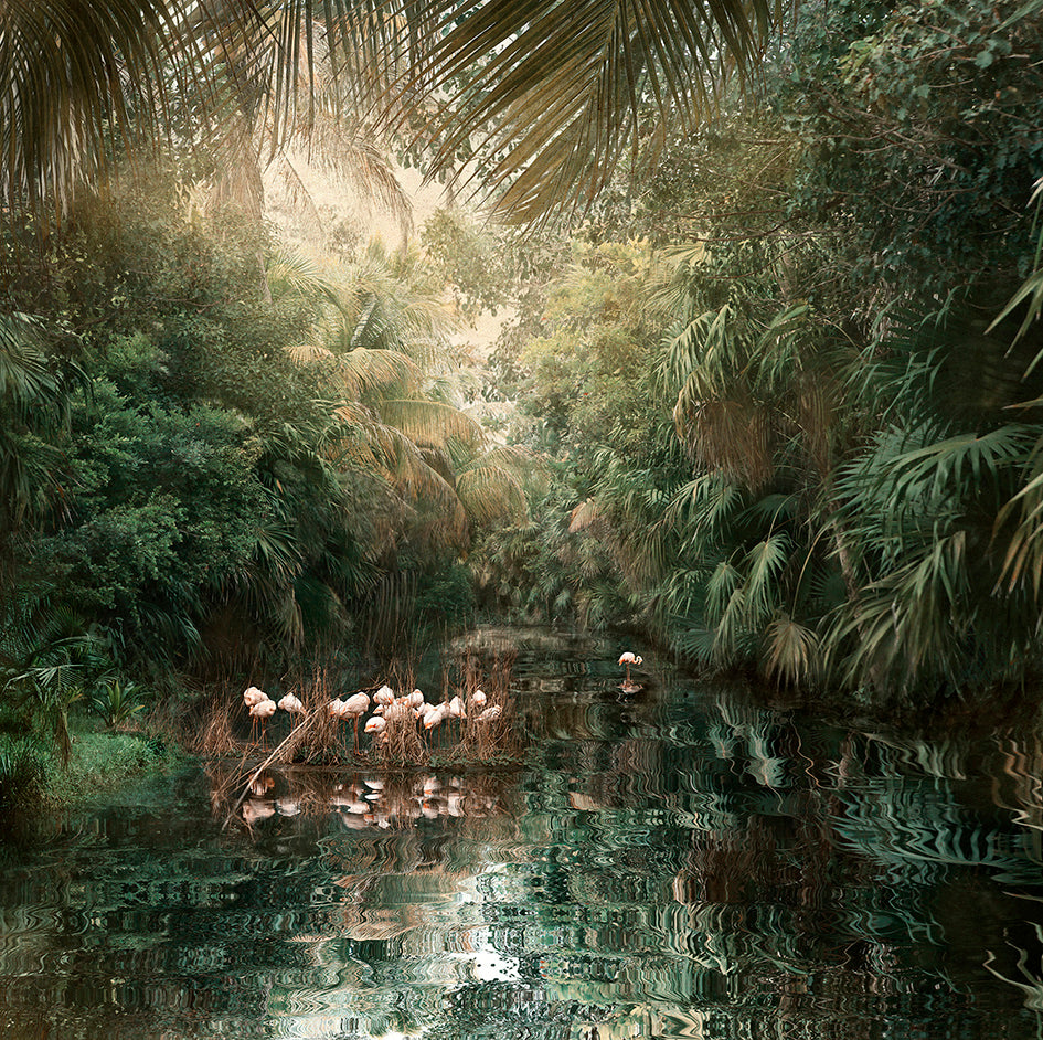 Backwaters Song - Limited Edition Fine Art print