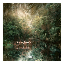 Load image into Gallery viewer, Backwaters Song - Limited Edition Fine Art print