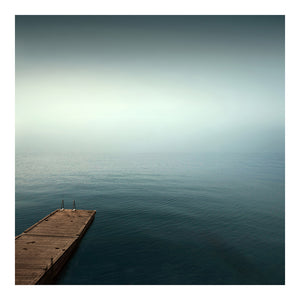 Blue Swim - Limited Edition Fine Art