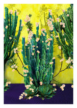 Load image into Gallery viewer, Cactus Blossom - Limited Edition Fine Art