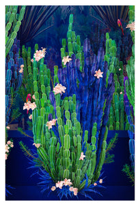Cactus Garden - Limited Edition Fine Art
