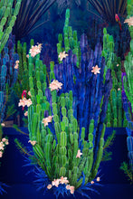 Load image into Gallery viewer, Cactus Garden - Limited Edition Fine Art