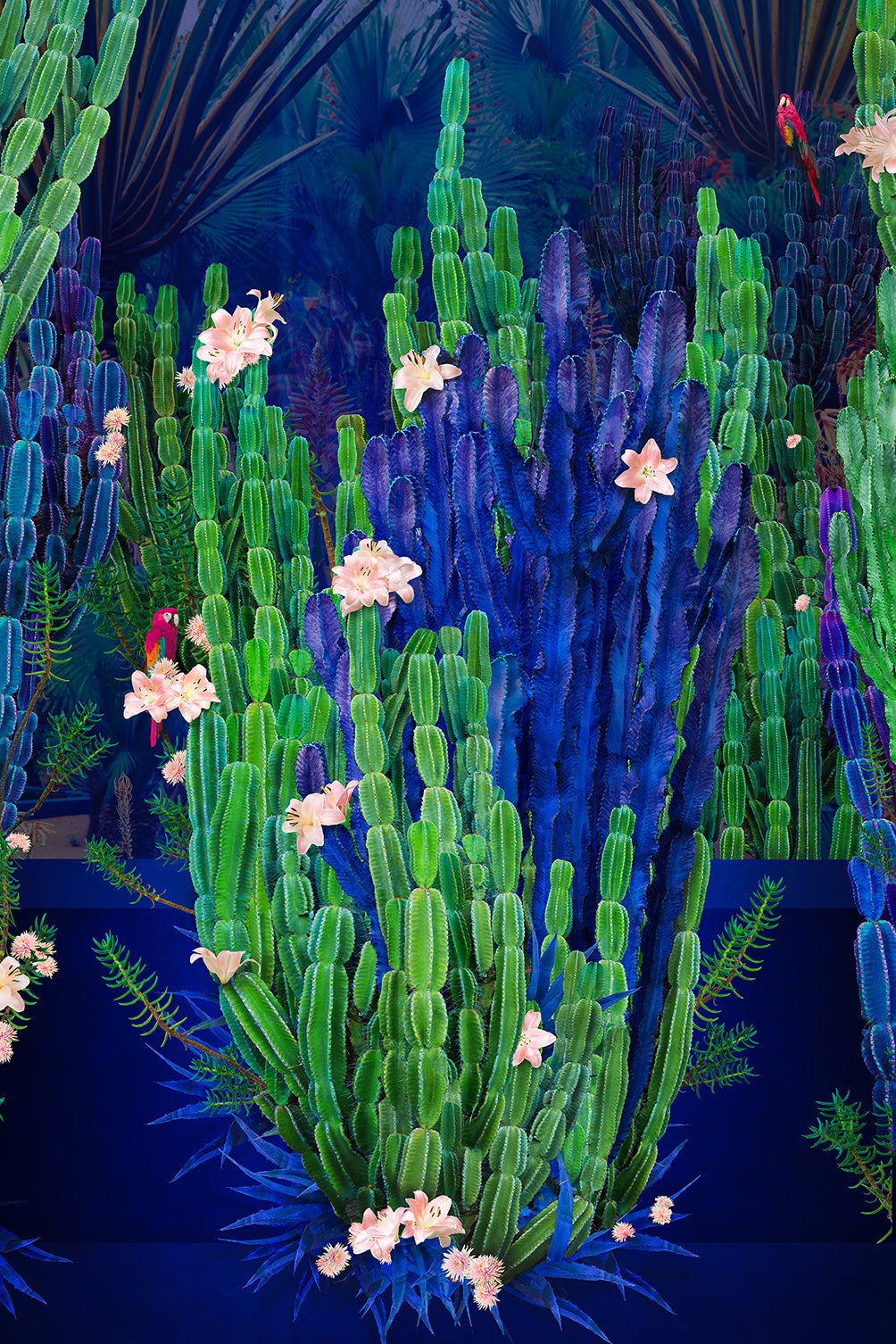 Cactus Garden - Limited Edition Fine Art