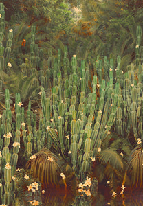 Cactus Jungle - Limited Edition Fine Art