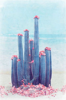 Cactus Beach - Limited Edition Fine Art print