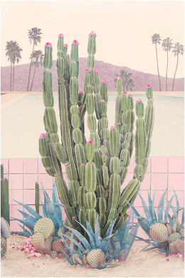 Cactus Springs - Limited Edition Fine Art