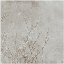 Load image into Gallery viewer, Cherry Blossom Selenium  - Limited Edition Fine Art