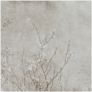 Cherry Blossom Selenium  - Limited Edition Fine Art